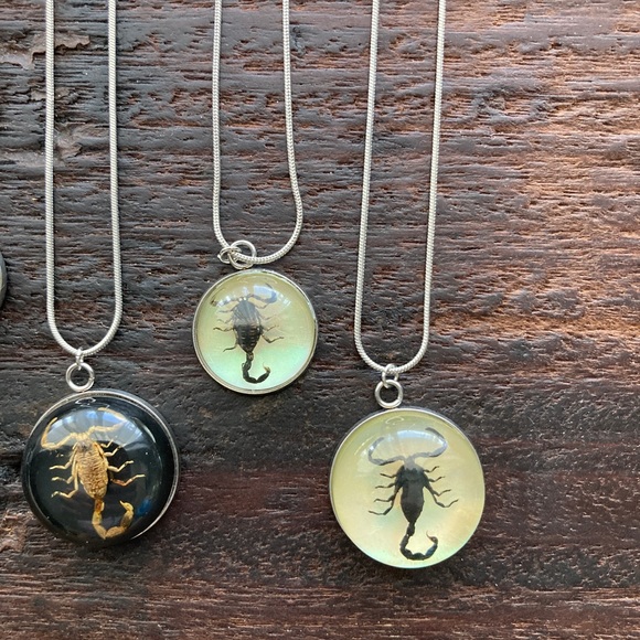 Real Scorpion Iridescent Festival Necklace Resin Taxidermy Pendant Scorpio - Picture 4 of 6